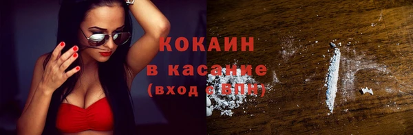 шишки Абаза