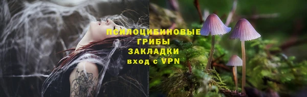 2c-b Абинск