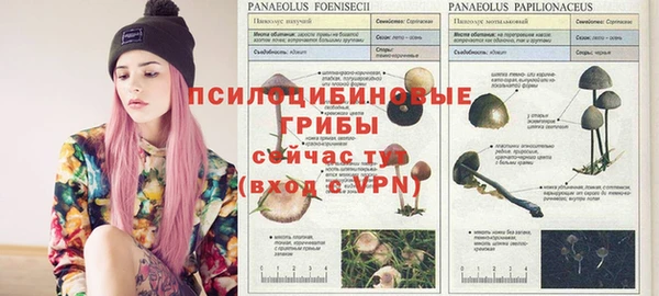 альфа пвп Алексеевка