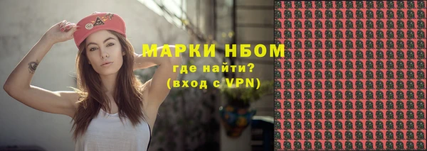шишки Абаза