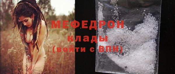 шишки Абаза