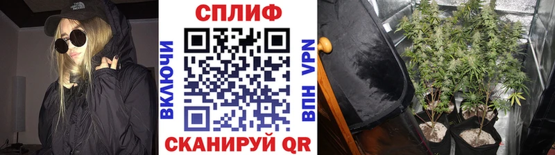 Каннабис Bruce Banner  гидра ссылка  Никольск 